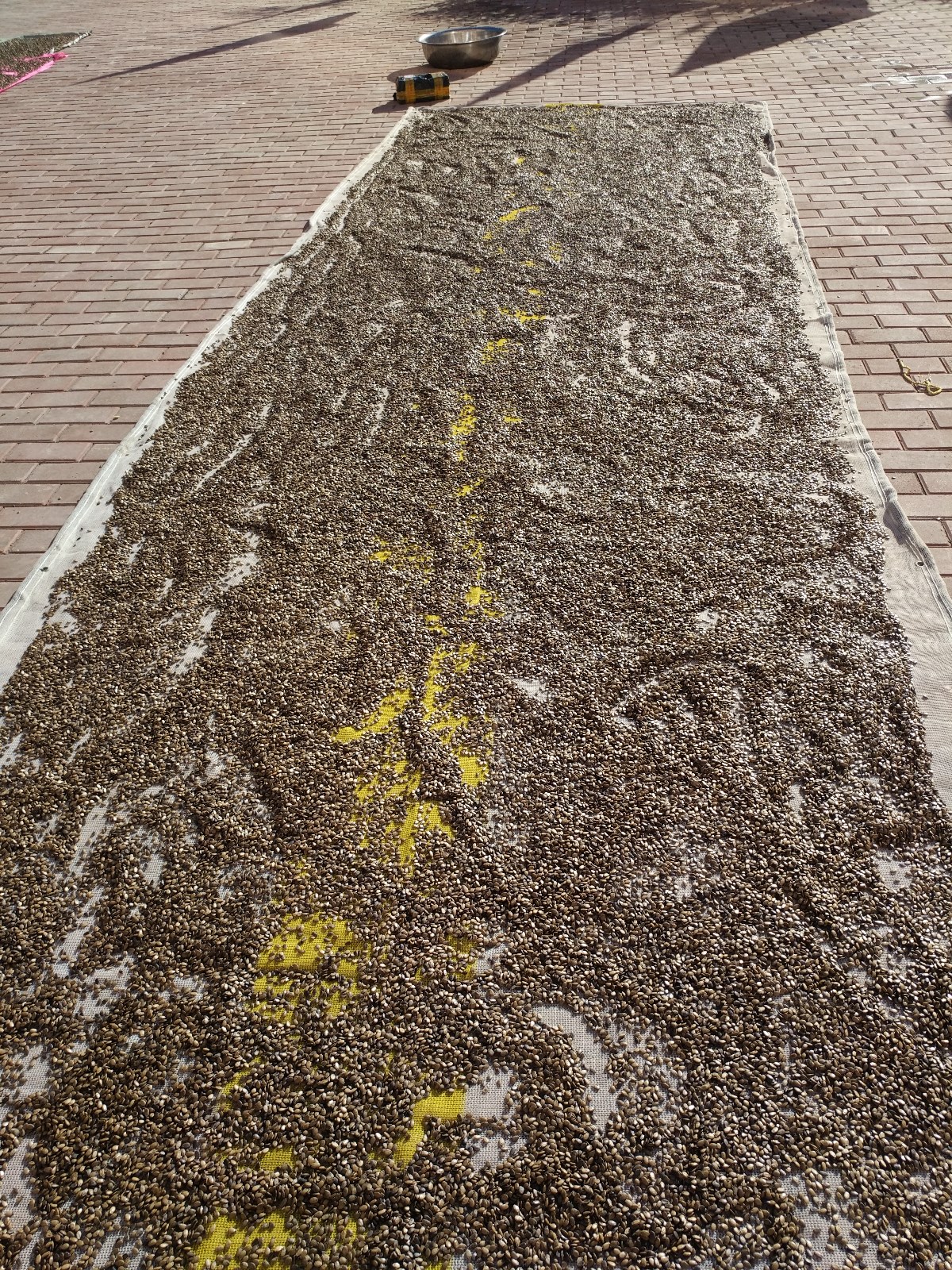 mk体育是正规的吗